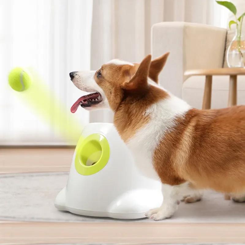 Lanzador Automatico de Pelotas de Tennis para Perros.